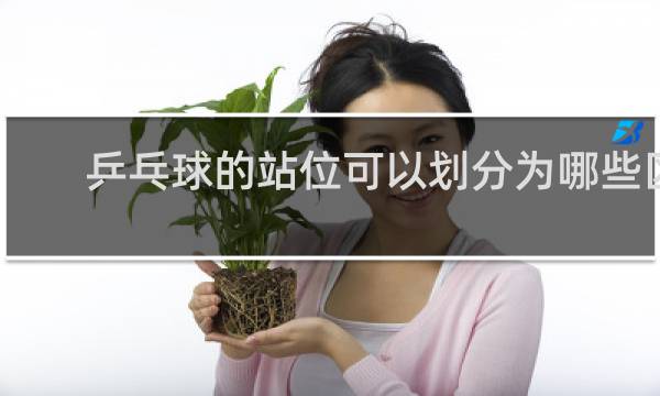 乒乓球的站位可以划分为哪些区域