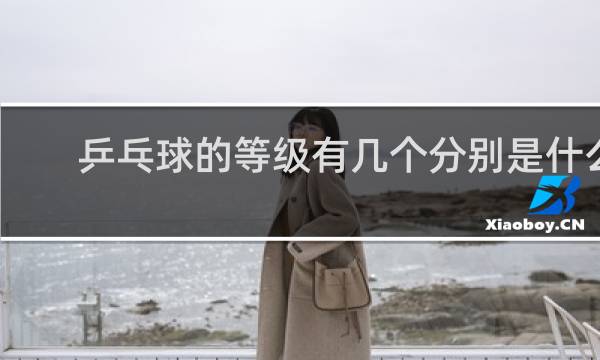乒乓球的等级有几个分别是什么