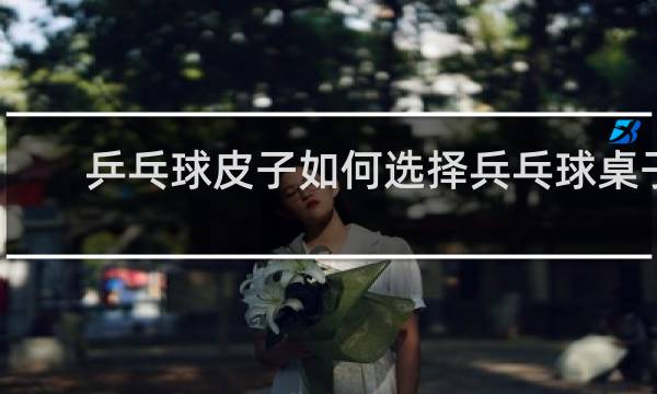 乒乓球皮子如何选择兵乓球桌子