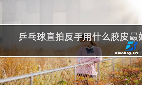 乒乓球直拍反手用什么胶皮最好