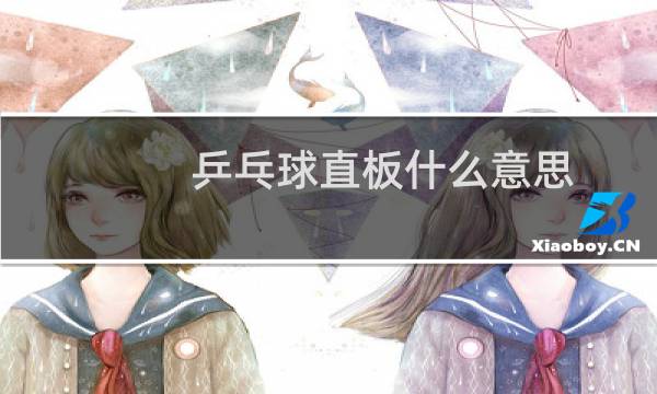 乒乓球直板什么意思