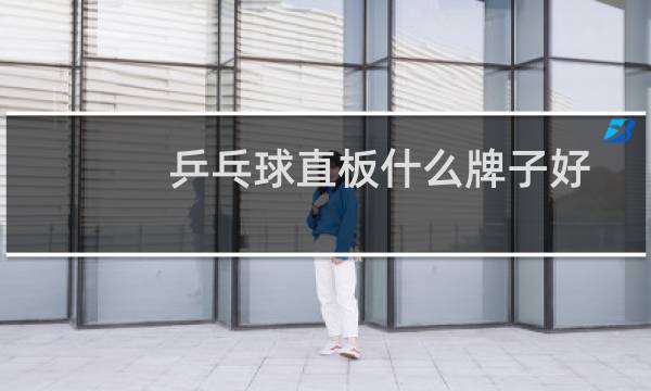 乒乓球直板什么牌子好