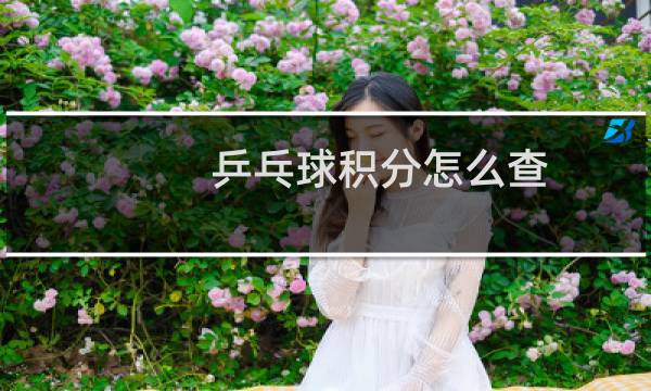 乒乓球积分怎么查