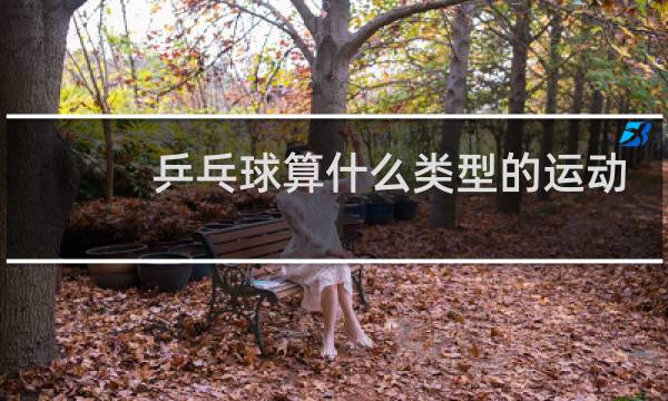 乒乓球算什么类型的运动