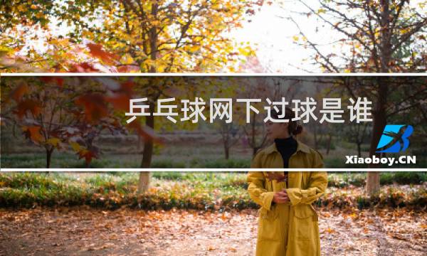 乒乓球网下过球是谁