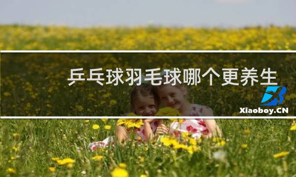 乒乓球羽毛球哪个更养生
