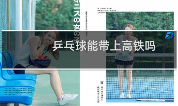 乒乓球能带上高铁吗