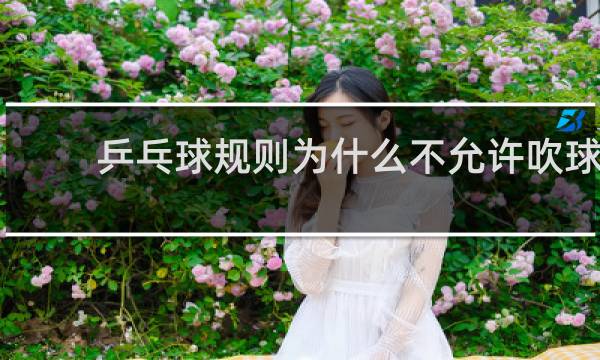 乒乓球规则为什么不允许吹球