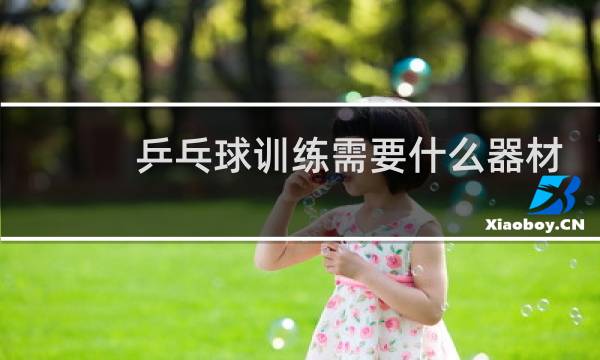 乒乓球训练需要什么器材