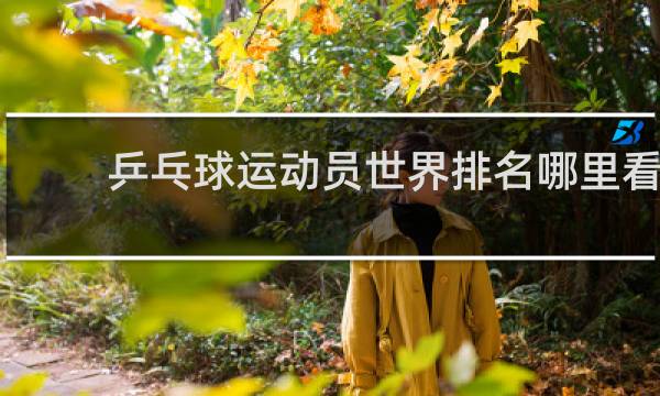 乒乓球运动员世界排名哪里看