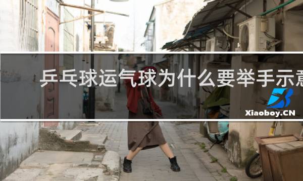 乒乓球运气球为什么要举手示意
