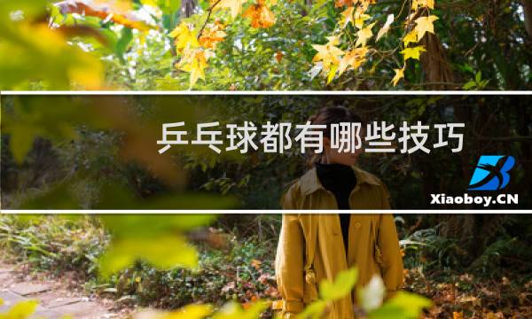 乒乓球都有哪些技巧