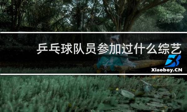 乒乓球队员参加过什么综艺