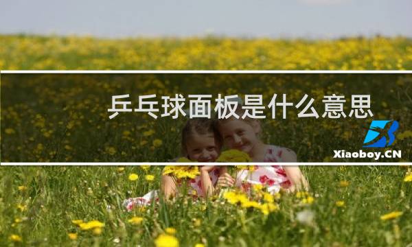 乒乓球面板是什么意思