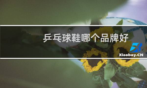 乒乓球鞋哪个品牌好
