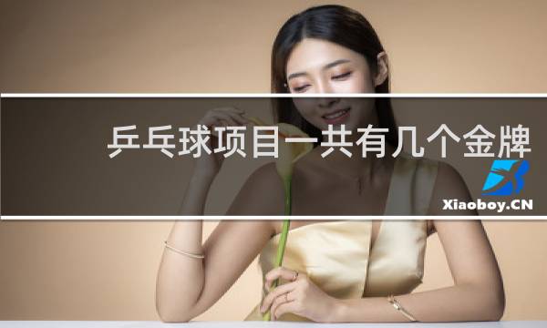 乒乓球项目一共有几个金牌