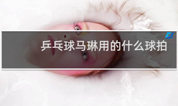 乒乓球马琳用的什么球拍