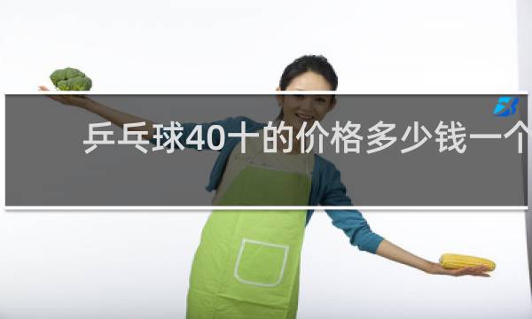 乒乓球40十的价格多少钱一个