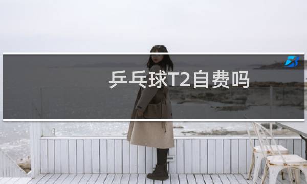 乒乓球T2自费吗
