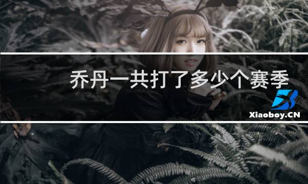乔丹一共打了多少个赛季