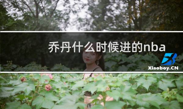 乔丹什么时候进的nba