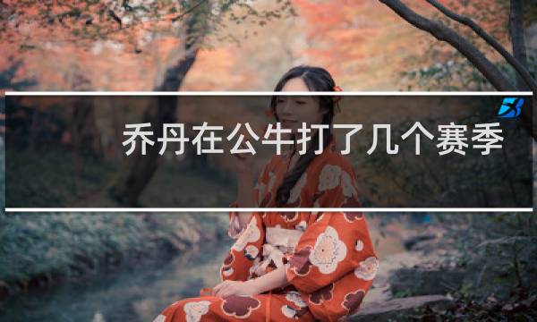乔丹在公牛打了几个赛季