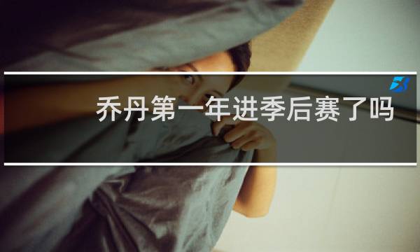 乔丹第一年进季后赛了吗