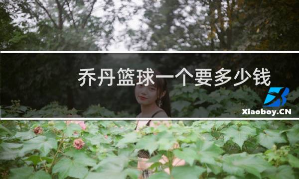 乔丹篮球一个要多少钱