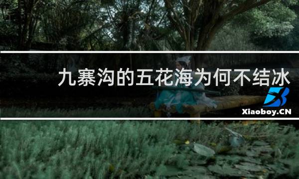 九寨沟的五花海为何不结冰