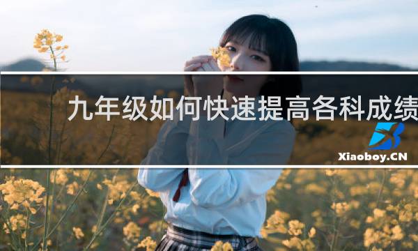 九年级如何快速提高各科成绩