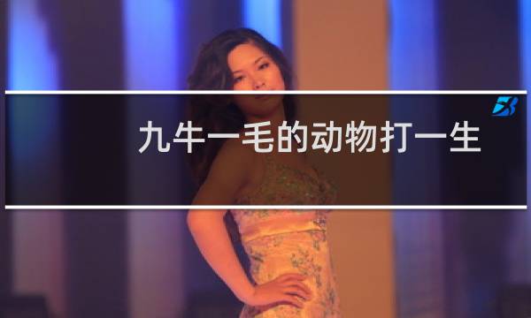 九牛一毛的动物打一生肖（九牛一毛的动物是啥）
