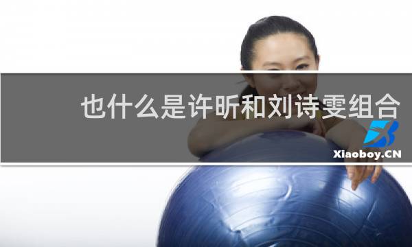 也什么是许昕和刘诗雯组合