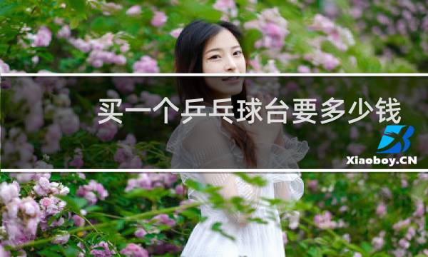 买一个乒乓球台要多少钱