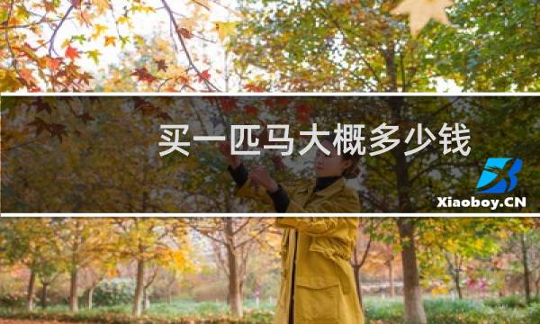 买一匹马大概多少钱图片