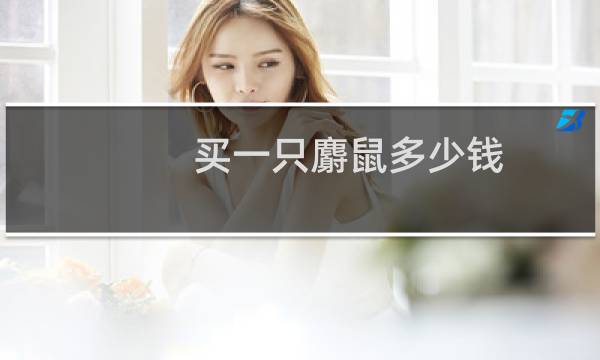 买一只麝鼠多少钱？