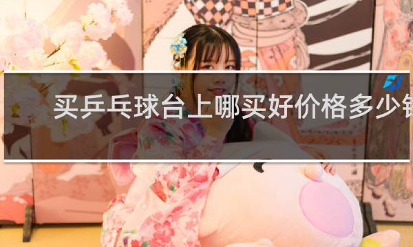 买乒乓球台上哪买好价格多少钱一张