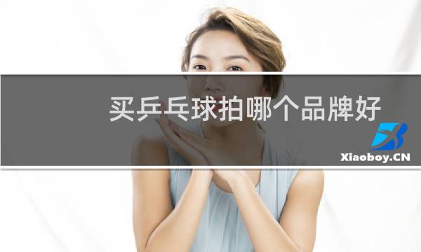 买乒乓球拍哪个品牌好