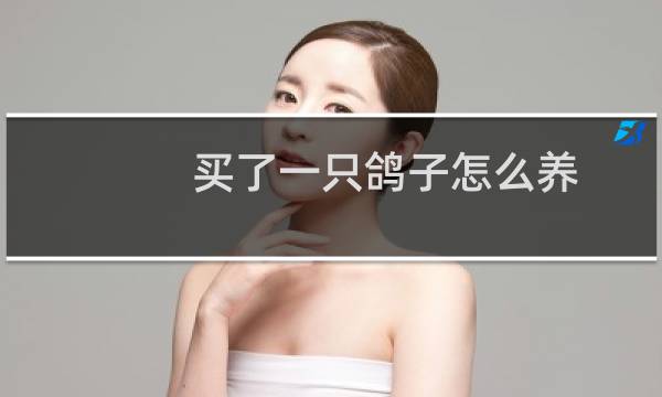 买了一只鸽子怎么养