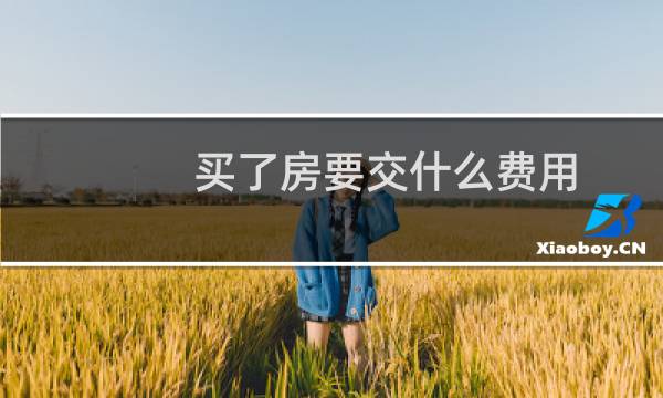 买了房要交什么费用图片