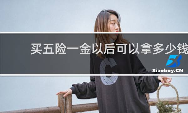 买五险一金以后可以拿多少钱图片