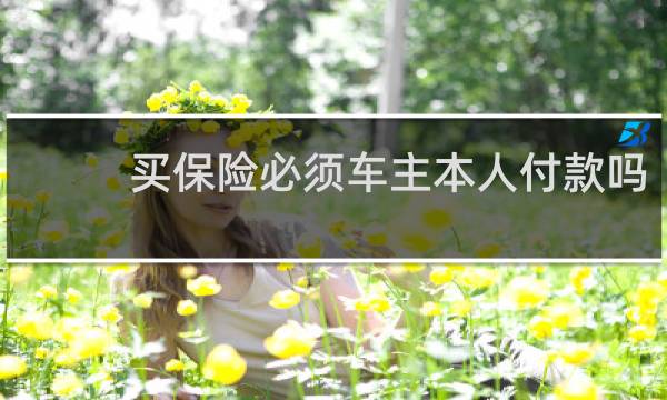 买保险必须车主本人付款吗