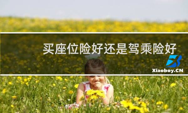 买座位险好还是驾乘险好图片