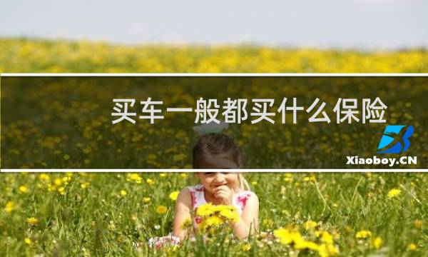 买车一般都买什么保险图片