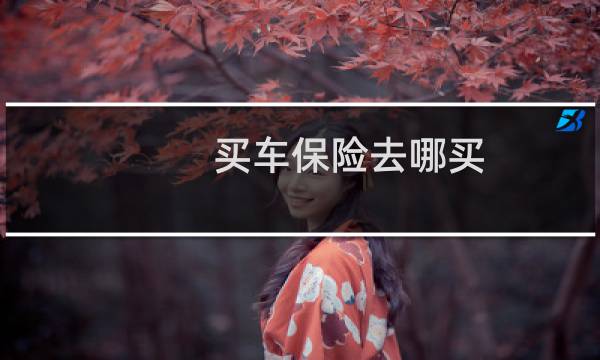 买车保险去哪买
