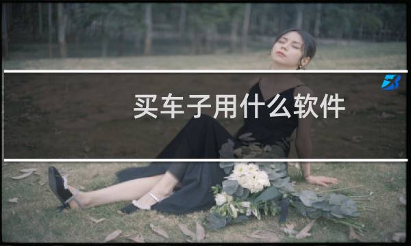 买车子用什么软件（看车软件哪个好）图片