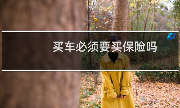 买车必须要买保险吗