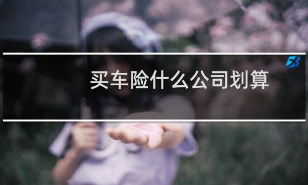 买车险什么公司划算