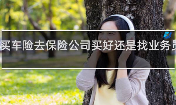 买车险去保险公司买好还是找业务员买好