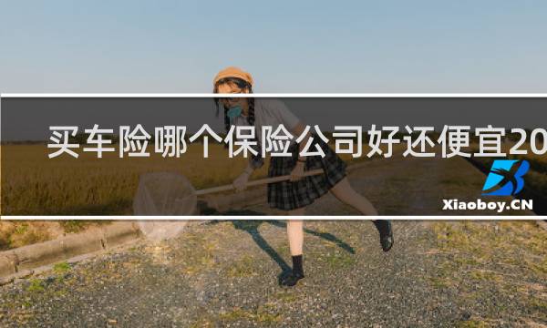 买车险哪个保险公司好还便宜2022