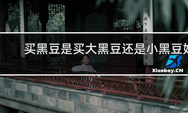 买黑豆是买大黑豆还是小黑豆好
